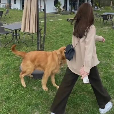 福宝爷俩